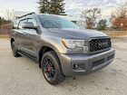 2021 Toyt Sequoia Trd Pro Gray vin: 5TDEY5B10MS182254
