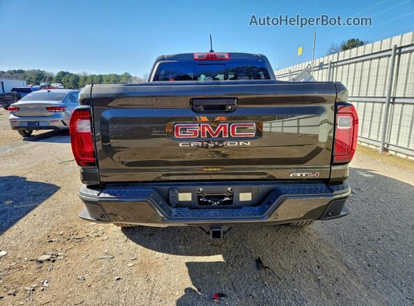 1GTP2DEK8S1162319 2025 GMC CANYON Коричневый Вид салона спереди