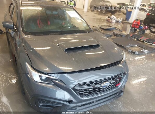 JF1VBAN6XS9808394 2025 SUBARU WRX Серый Вид задней части салона