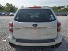 2016 Subaru Forester Бежевый vin: JF2SJAFC0GH554312