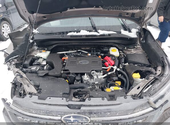 JF2SLSRD7SH414304 2025 SUBARU FORESTER Brown Вид ззаду
