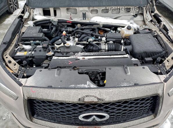 JN8AZ2AE1P9303699 2023 INFINITI QX80 Желто-коричневый Вид подкапотного пространства