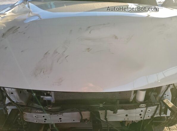 JN8AZ2BF4P9756917 2023 INFINITI QX80 White Widok wnętrza z tyłu