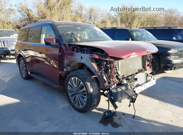 JN8AZ3DB3S9402556 2025 INFINITI QX80 Бордовый Передняя правая четверть