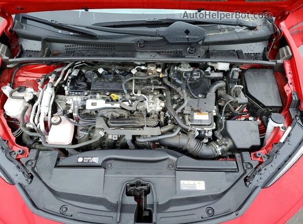 JTDACACUXP3004968 2023 TOYOTA PRIUS Red Widok wnętrza z tyłu