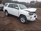 2024 Toyota 4runner Sr5 White vin: JTEMU5JR1R6273261