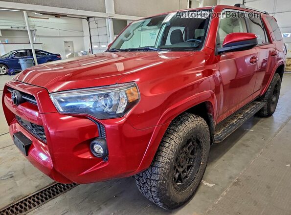 JTEMU5JRXM5933019 2021 TOYOTA 4RUNNER Красный Передняя левая четверть