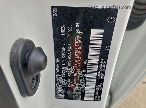 JTENU5JR2P6125119 2023 TOYOTA 4RUNNER White Widok naklejki z numerem VIN