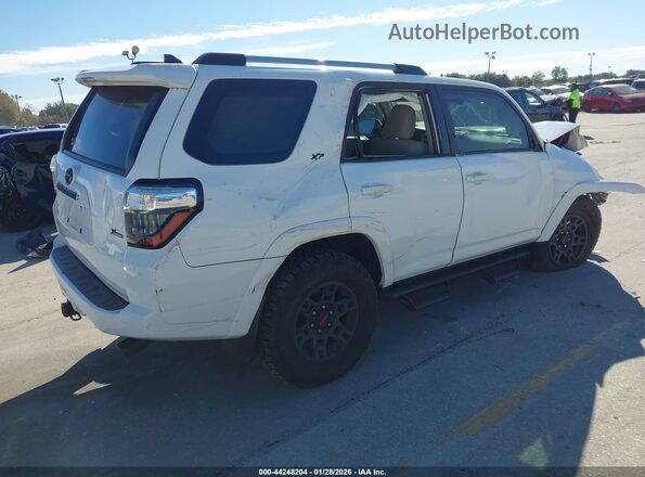 JTENU5JR3P6138977 2023 TOYOTA 4RUNNER White Tył prawy