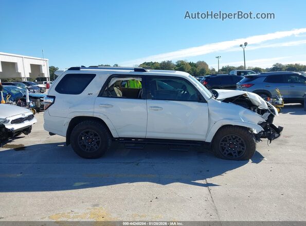 JTENU5JR3P6138977 2023 TOYOTA 4RUNNER White Widok wnętrza z tyłu