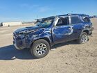 2024 Toyota 4runner Sr5 Premium Blue vin: JTERU5JR0R6281440