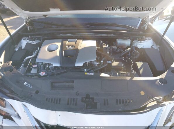 JTHB21B18K2019996 2019 LEXUS ES 300H Белый Вид сзади