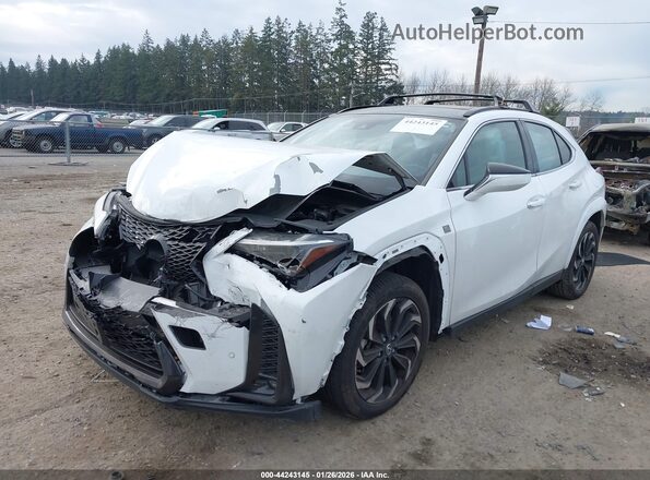 JTHB6JBH4P2146107 2023 LEXUS UX 250H Белый Вид спереди