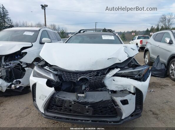 JTHB6JBH4P2146107 2023 LEXUS UX 250H Белый Вид щитка приборов
