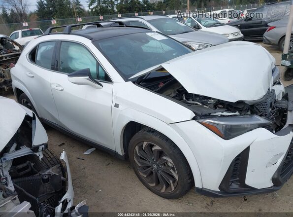 JTHB6JBH4P2146107 2023 LEXUS UX 250H Белый Вид задней части салона