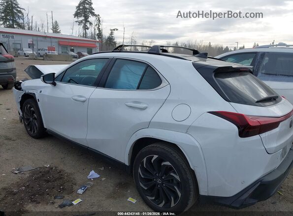 JTHB6JBH4P2146107 2023 LEXUS UX 250H Белый Панорамный вид салона 360°