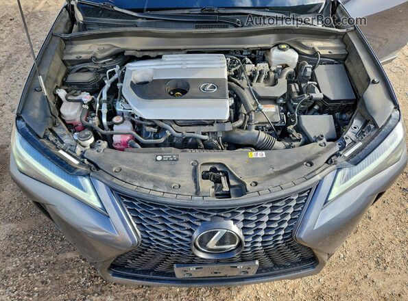 JTHB6JBH6P2152670 2023 LEXUS UX Угольный Вид задней части салона