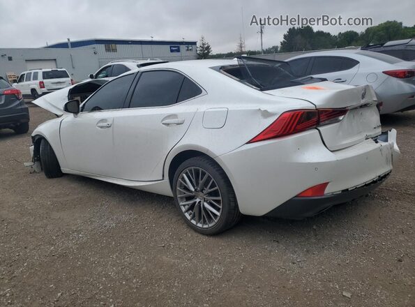 JTHC81D26K5037162 2019 LEXUS IS Белый Задняя левая четверть