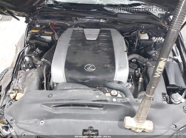 JTHCZ1D2XK5016294 2019 LEXUS IS 350 Серый Вид сзади