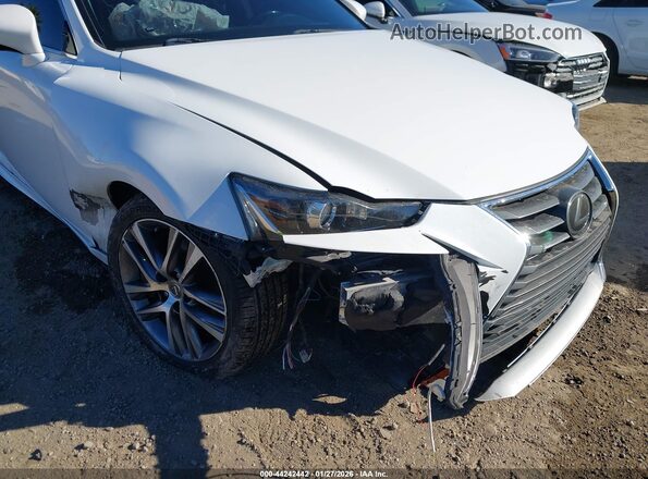 JTHDA1D29L5107733 2020 LEXUS IS 300 White Widok z przodu