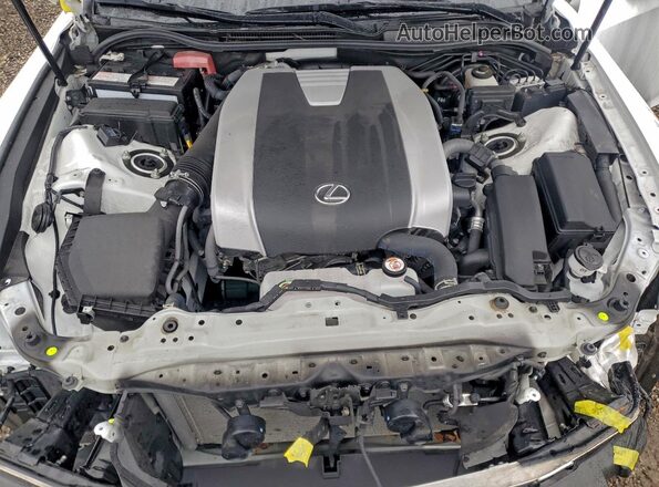 JTHG81F28R5053503 2024 LEXUS IS Белый Вид задней части салона