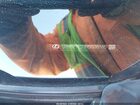 2024 Lexus Is 350 F Sport Белый vin: JTHGZ1E27R5038165