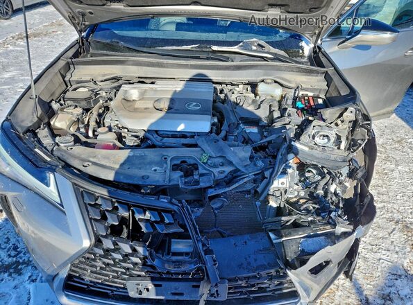 JTHL9JBH2L2025842 2020 LEXUS UX Серебряный Вид задней части салона