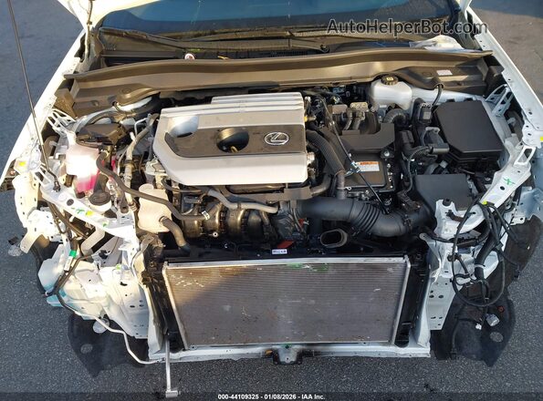 JTHP6JBH7P2145605 2023 LEXUS UX 250H Белый Вид сзади