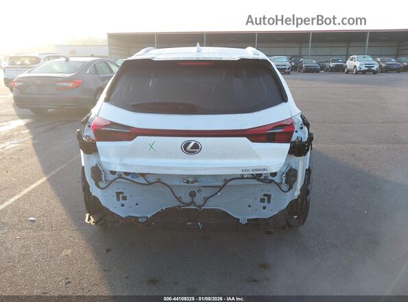 JTHP6JBH7P2145605 2023 LEXUS UX 250H Белый 