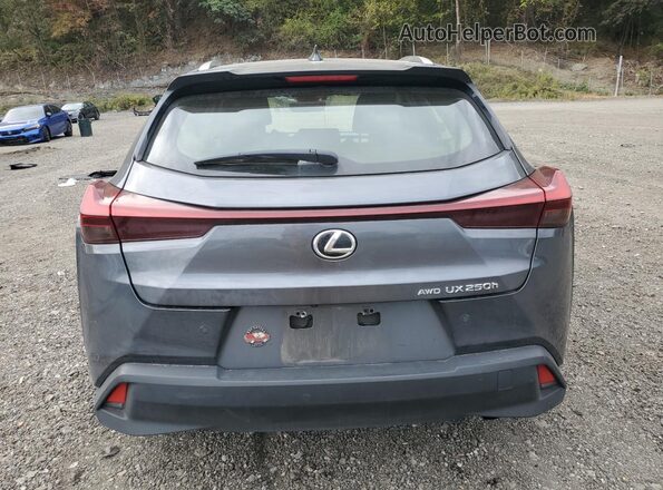 JTHP9JBH0P2068339 2023 LEXUS UX Silver Вид ззаду