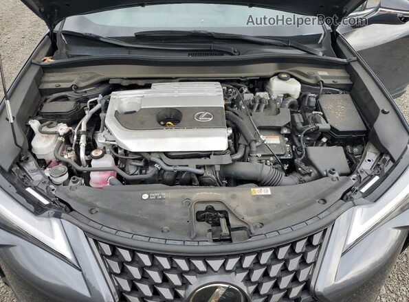 JTHP9JBH0P2068339 2023 LEXUS UX Silver Вид задньої частини салону