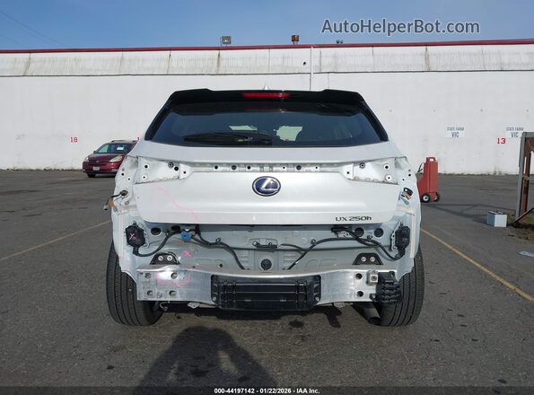 JTHP9JBH3M2052857 2021 LEXUS UX 250H White Front view