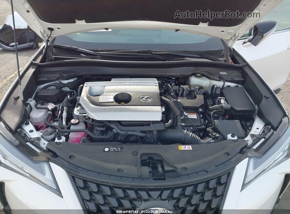 JTHP9JBH3M2052857 2021 LEXUS UX 250H White Rear view