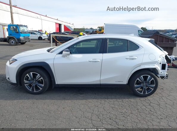 JTHP9JBH3M2052857 2021 LEXUS UX 250H White 