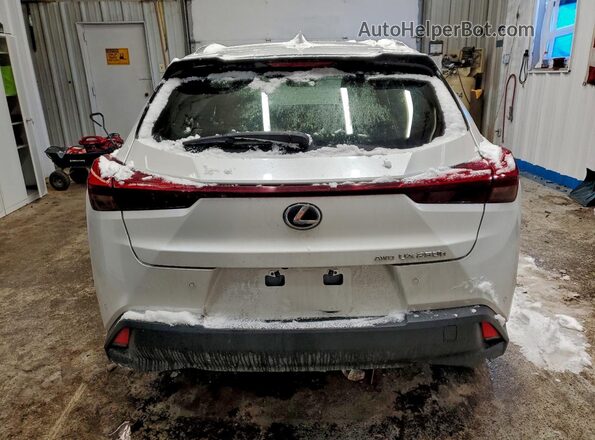 JTHP9JBH4P2070076 2023 LEXUS UX White Vista trasera