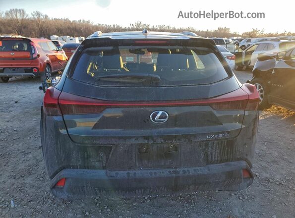 JTHP9JBH6L2021956 2020 LEXUS UX Черный Вид сзади