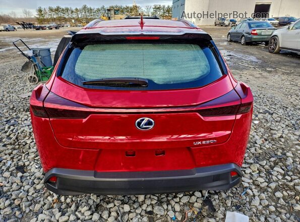 JTHP9JBH6L2028132 2020 LEXUS UX Красный Вид сзади