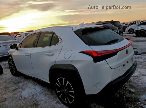 JTHP9JBH6L2029684 2020 LEXUS UX White Задня ліва чверть