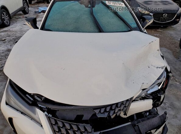 JTHP9JBH6L2029684 2020 LEXUS UX White Вид задньої частини салону