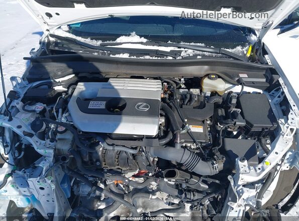 JTHP9JBH9L2033003 2020 LEXUS UX 250H Белый Вид сзади