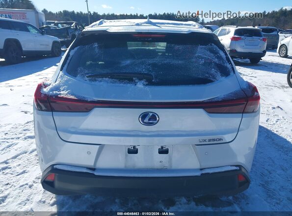JTHP9JBH9L2033003 2020 LEXUS UX 250H Белый 