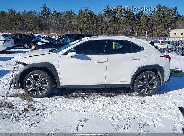 JTHP9JBH9L2033003 2020 LEXUS UX 250H Белый 