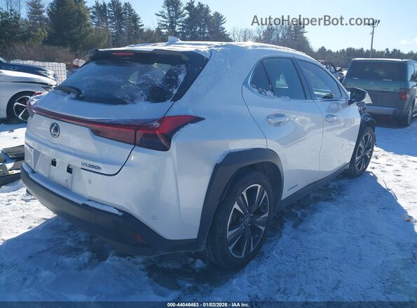 JTHP9JBH9L2033003 2020 LEXUS UX 250H Белый Задняя правая четверть