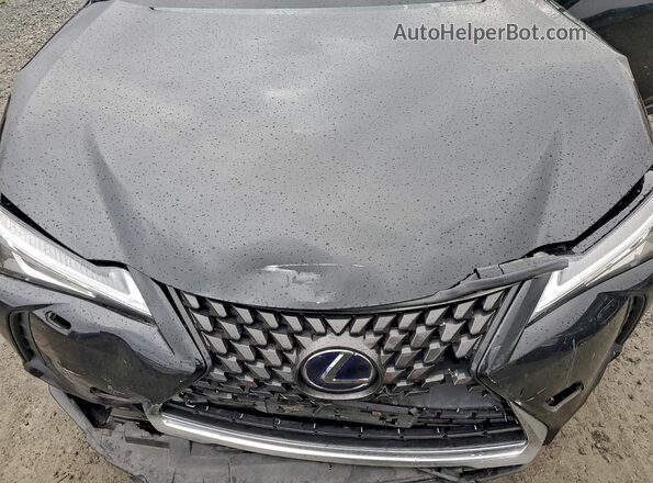 JTHP9JBH9N2055716 2022 LEXUS UX Black უკანა სალონის ხედი