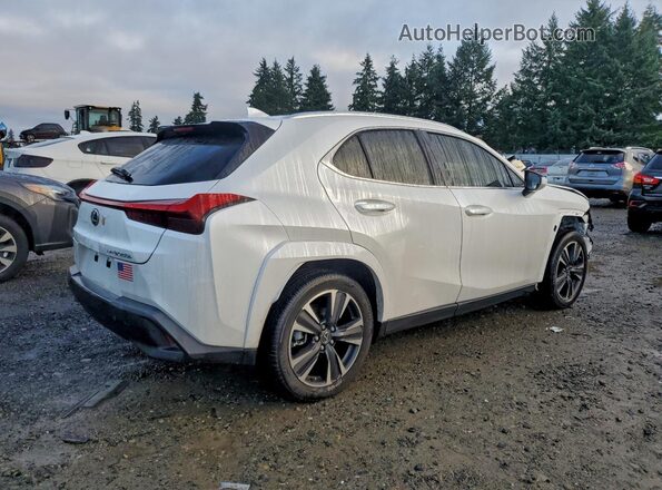 JTHP9JBH9R2080556 2024 LEXUS UX White Tył prawy