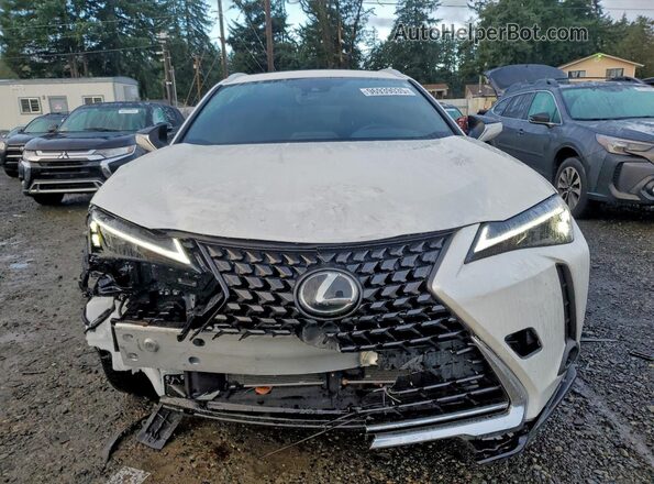JTHP9JBH9R2080556 2024 LEXUS UX White Widok z przodu