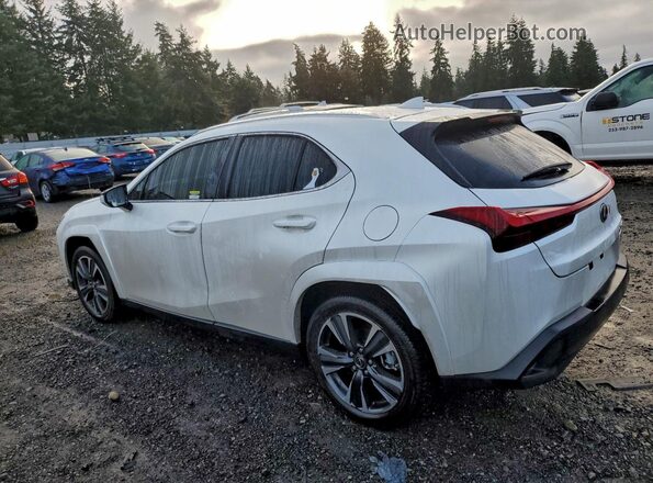 JTHP9JBH9R2080556 2024 LEXUS UX White Tył lewy