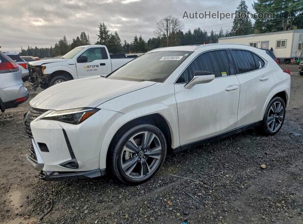 JTHP9JBH9R2080556 2024 LEXUS UX White Przód lewy