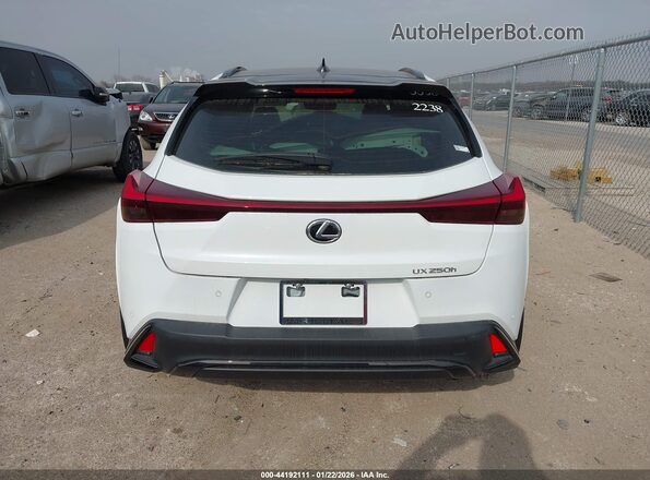 JTHR6JBH2R2191239 2024 LEXUS UX 250H Белый 