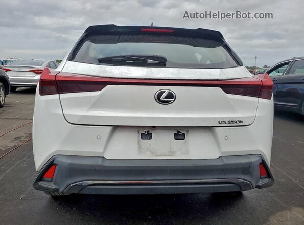 JTHR6JBH4R2163703 2024 LEXUS UX Белый Вид сзади